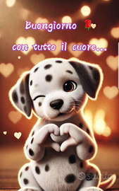 Animazione per anziani