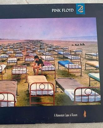 disco vinile Pink Floyd