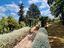 Immagine 23