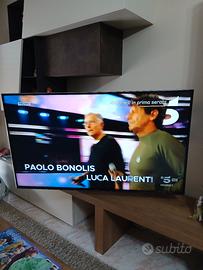 TV 55 POLLICI PANASONIC 