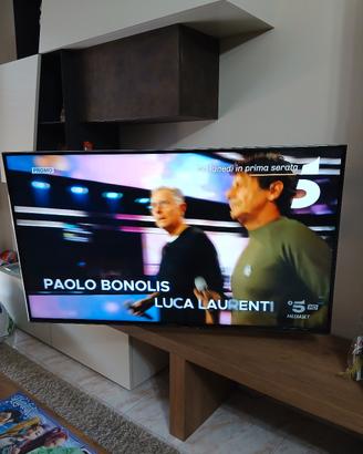 TV 55 POLLICI PANASONIC 