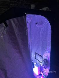 Grow box 100 x 100 x 180 mammoth lite