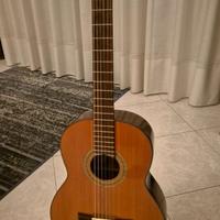 Chitarra Classica Cort con custodia