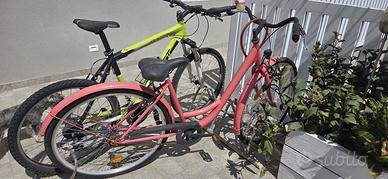 Bicicletta WEG ruote da 28