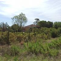 Terreno agricolo con edificabilità