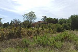 Terreno agricolo con edificabilità