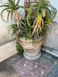 Vasi antichi in pietra