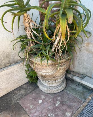 Vasi antichi in pietra