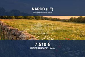 Immobile in asta di 9388 m² a Nardò