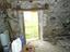 Immagine 14