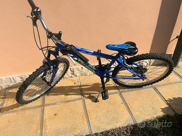 Bicicletta 24”
