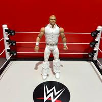 Wrestler WWE Tyler Breeze