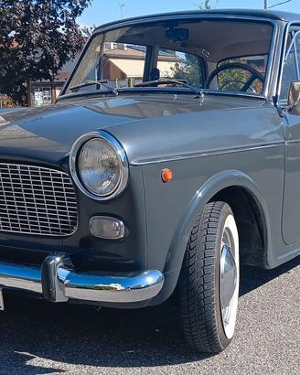 Fiat 1100 D Impeccabile