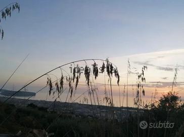 Terreno Praia a Mare - località Viscigliosa