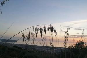 Terreno Praia a Mare - località Viscigliosa