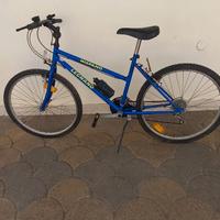 bicicletta Mountain Bike