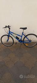 bicicletta Mountain Bike