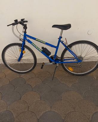bicicletta Mountain Bike