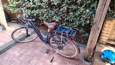 Bicicletta elettrica a pedalata assistita