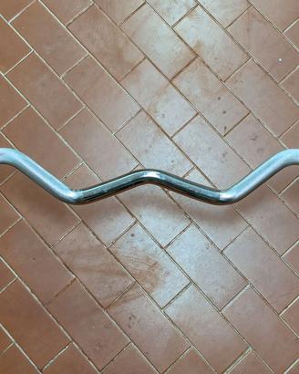 Bilanciere Curl e pesi 20kg