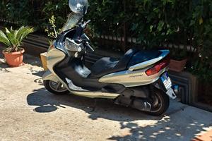 majesty 250 anno 2004