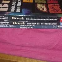 Brock biologia dei microrganismi vol1 2b