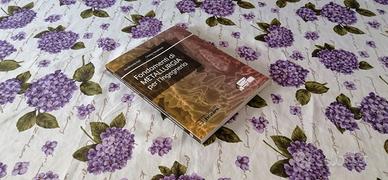 Fondamenti di Metallurgia per l'Ingegneria libro