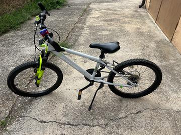 Bicicletta 20’