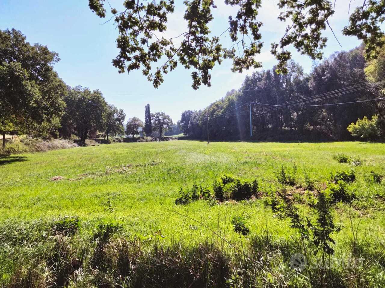 Prato a Amelia - Vista 3