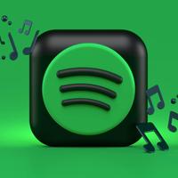 Box spotify per musica card 12 mesi