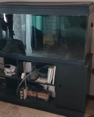 Acquario
