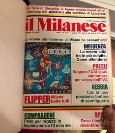 Riviste del 1968