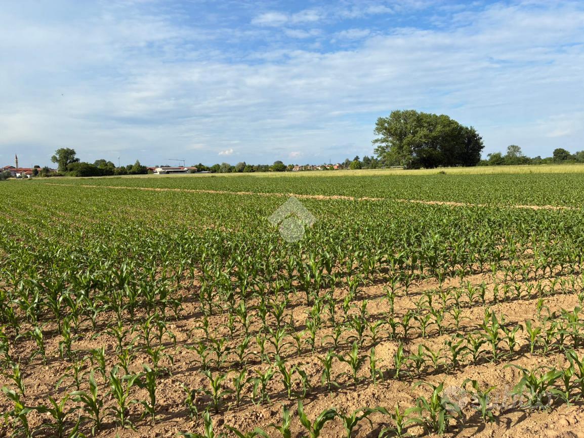TER. AGRICOLO A CORBETTA - Vista 3