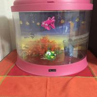 Acquario ? acquatresor