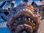 Immagine 4