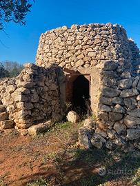 OLIVETO con FURNIEDDHI