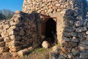 OLIVETO con FURNIEDDHI