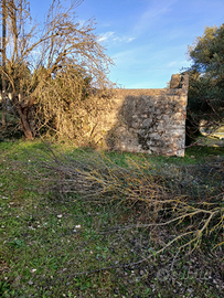 Vendita Antico Frantoio in Pietra Valle d'Itria
