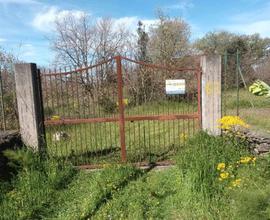 Rif.FF41| terreno agricolo belpasso