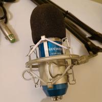 microfono a condensatore