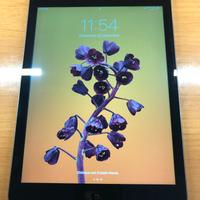 Ipad Air - Grigio siderale