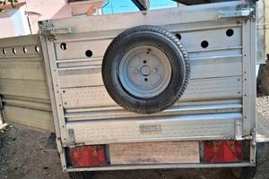 Rimorchio per trasporto cani