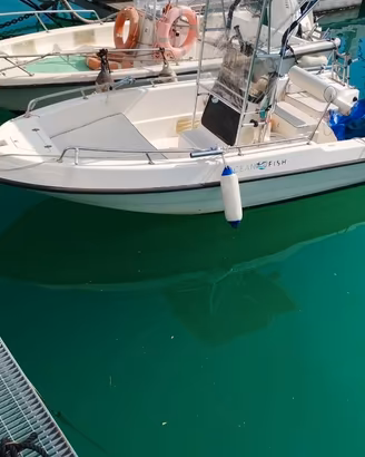 BARCA OPEN, MOTORE,CARRELLO