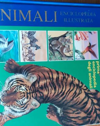 Enciclopedia animali DAMI 