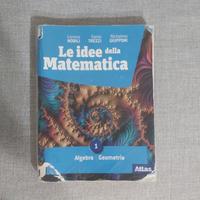 Le idee della Matematica 1