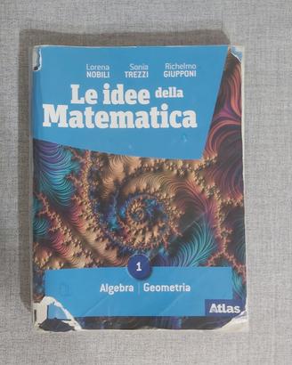 Le idee della Matematica 1