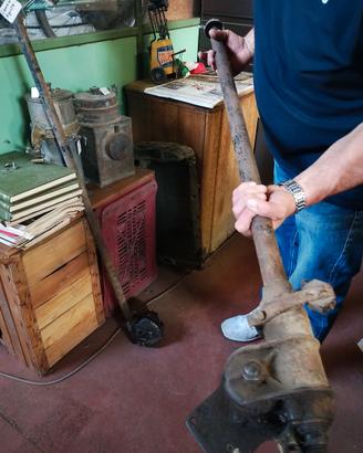 Piantoni auto d'epoca