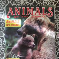 ALBUM ANIMALI