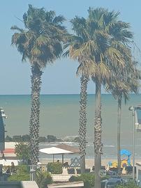 Appartamento vicino al mare
