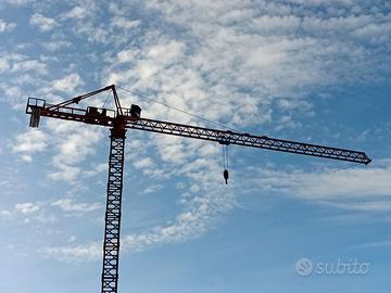 Modellino gru a torre Peiner by Conrad